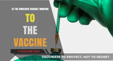 Omicron Variant: Vaccine Immunity Concerns and What We Know
