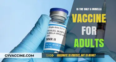 Adult Rubella Vaccination: Is It the Only Option for Protection?