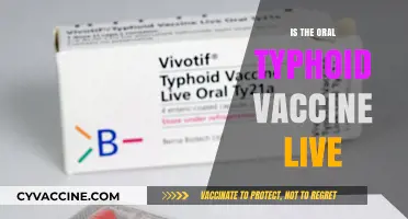 Understanding the Oral Typhoid Vaccine: Is It Live?