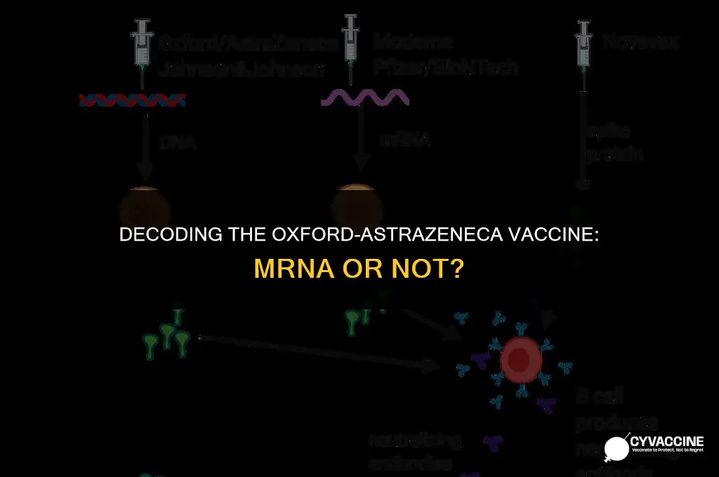 is the oxford astrazeneca vaccine mrna