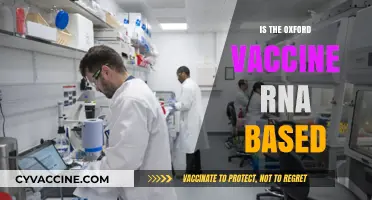 Decoding the Oxford Vaccine: RNA-Based or Not?