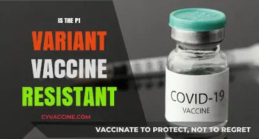 Exploring the Resilience of the P1 Variant Against Vaccines