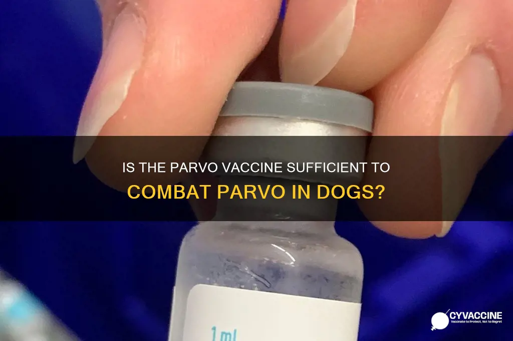 is the parvo one vaccine good enough to fight parvo