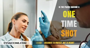 Is the Parvo Vaccine a One-Time Shot? What Pet Owners Need to Know