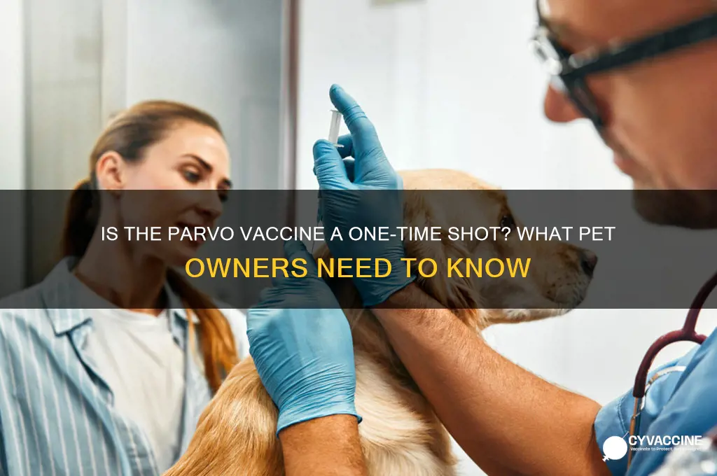 is the parvo vaccine a one time shot