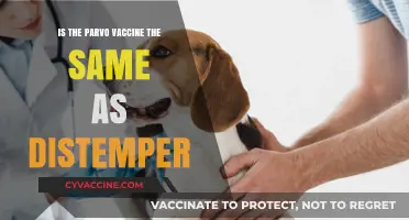 Parvo vs. Distemper Vaccine: Understanding the Differences and Similarities