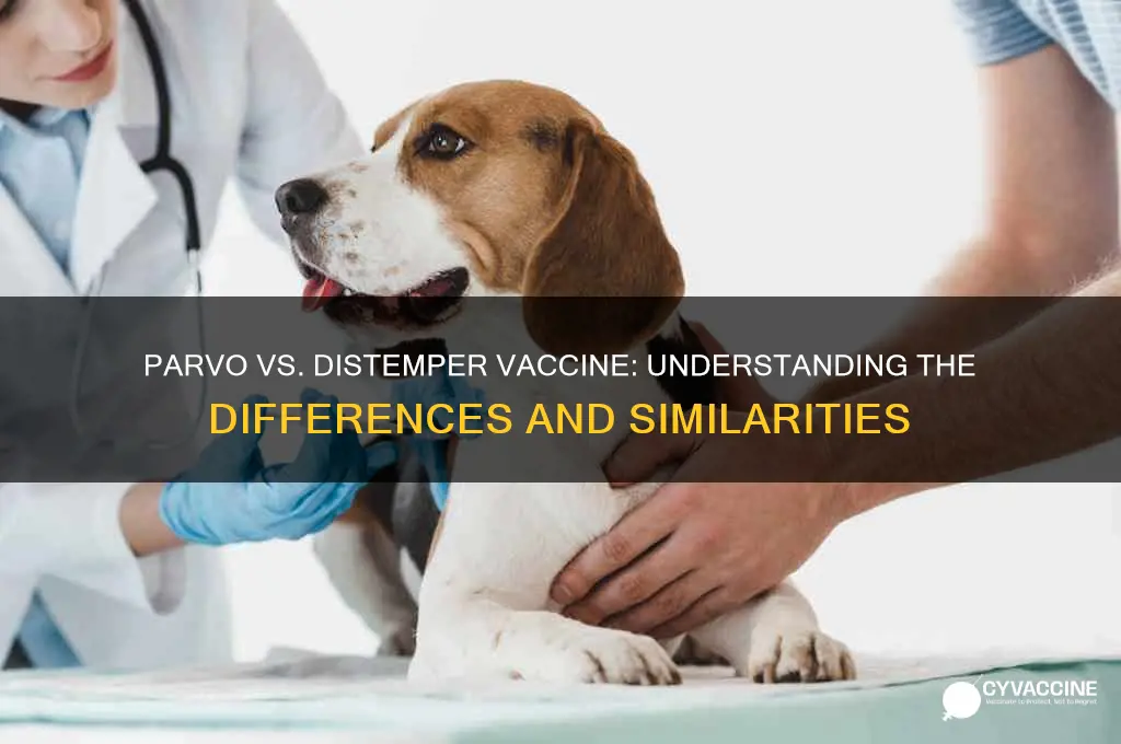 is the parvo vaccine the same as distemper