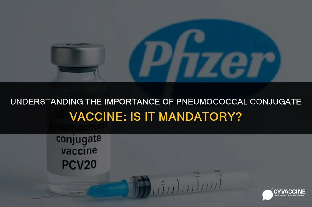 is the pneumococcal conjugate vaccine mandatory