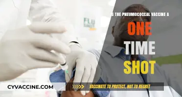 Pneumococcal Vaccine: Is It a One-Time Shot or Not?