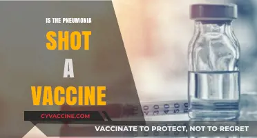 Unraveling the Mystery: Is the Pneumonia Shot a Vaccine?