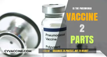 Understanding Pneumonia Vaccination: A Two-Part Protective Shield