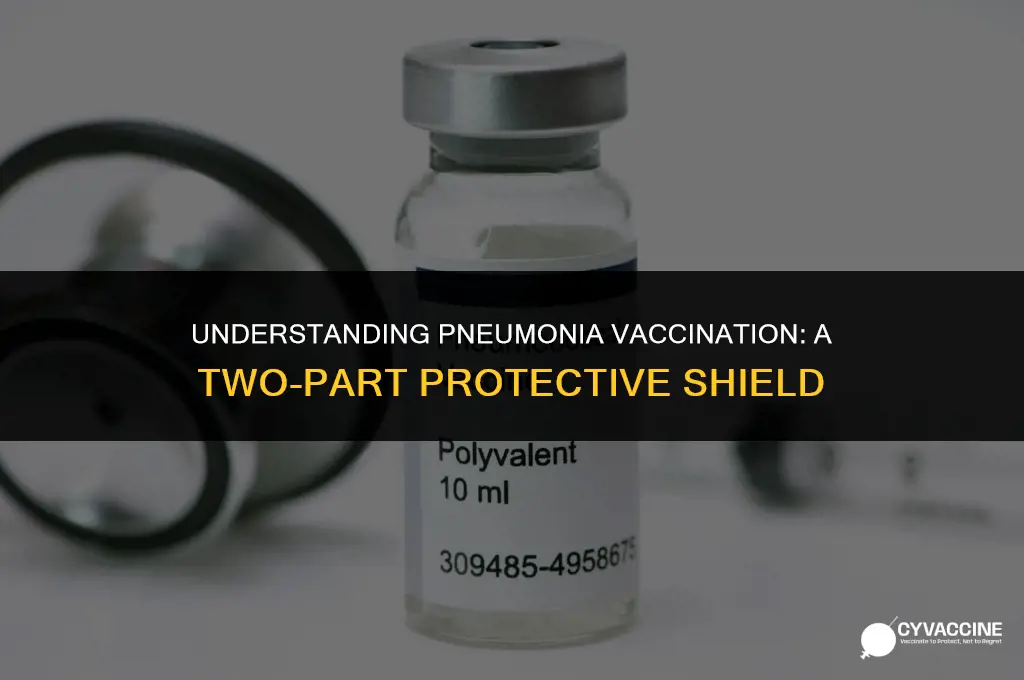 is the pneumonia vaccine 2 parts
