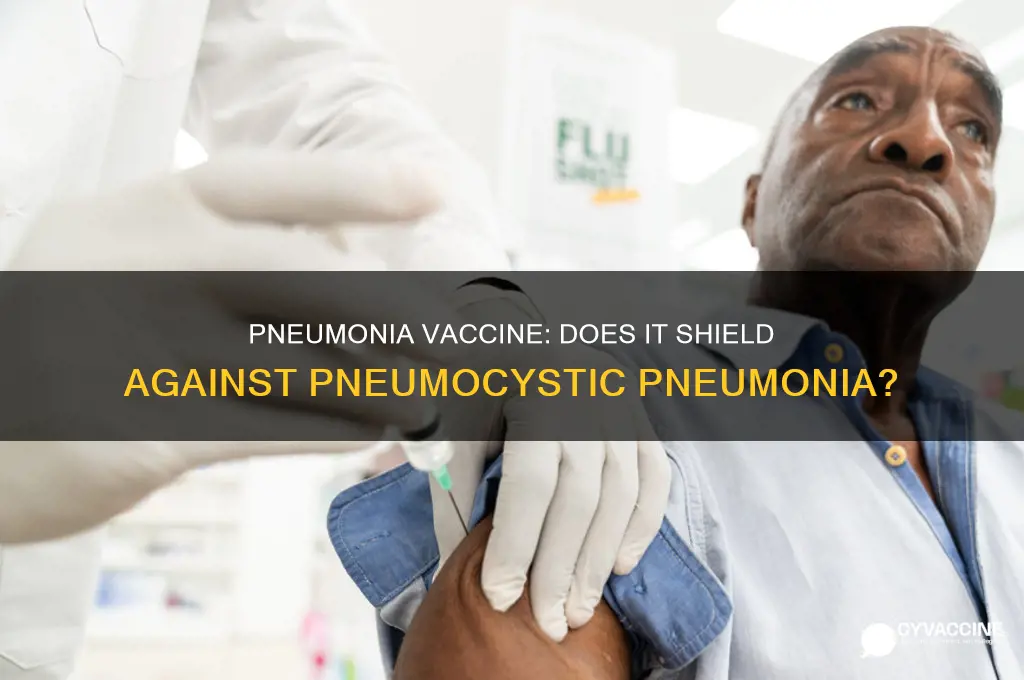 is the pneumonia vaccine protect agains pneumocystic pneumonia