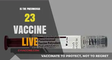 Is Pneumovax 23 a Live Vaccine? Facts and Insights