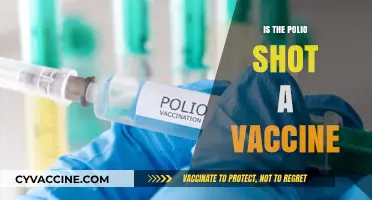 Understanding the Polio Shot: Vaccine or Not?