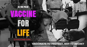 Lifelong Immunity: The Truth About Polio Vaccine Duration