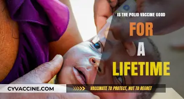 Does the Polio Vaccine Provide Lifelong Immunity? What You Need to Know