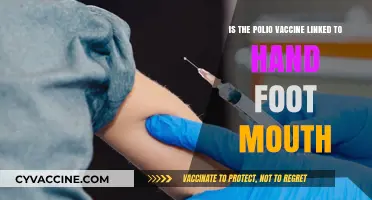 Polio Vaccine and Hand, Foot, Mouth Disease: Separating Fact from Fiction