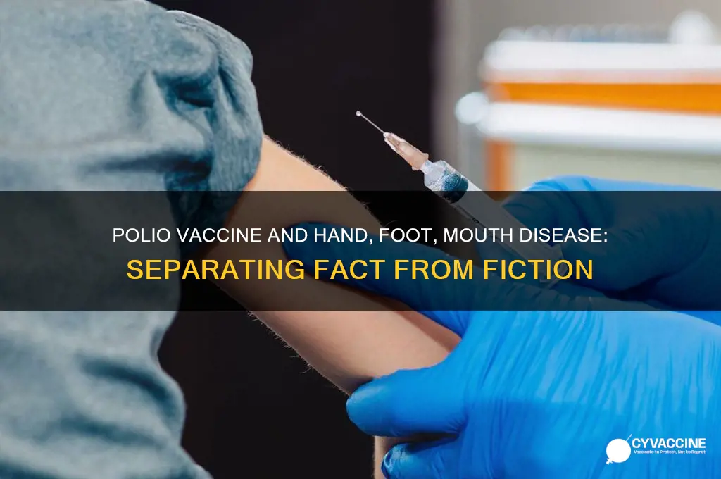 is the polio vaccine linked to hand foot mouth