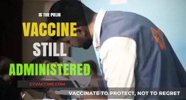 Polio Vaccine: Still Essential in Today's Global Health Landscape?