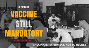 Polio Vaccine Mandates: A Comprehensive Update for Modern Times
