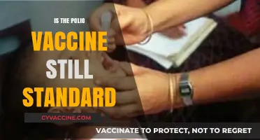 Polio Vaccine: Still a Standard in Modern Medicine?