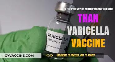Zoster vs. Varicella Vaccine: Which Offers Stronger Immunity?