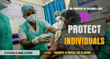 Beyond Individual Immunity: Exploring the Broader Purpose of Vaccines
