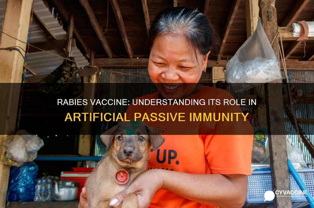 is the rabies vaccine artificially acquired passive immunity