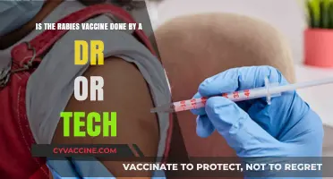 Who Administers Rabies Vaccines: Doctor or Technician?