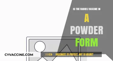 Rabies Vaccine Powder Form: Facts, Usage, and Administration Explained
