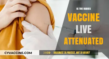 Understanding Rabies Vaccines: Live Attenuated or Not?