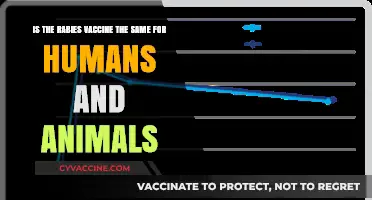 Rabies Vaccine: Are Human and Animal Formulations Identical?