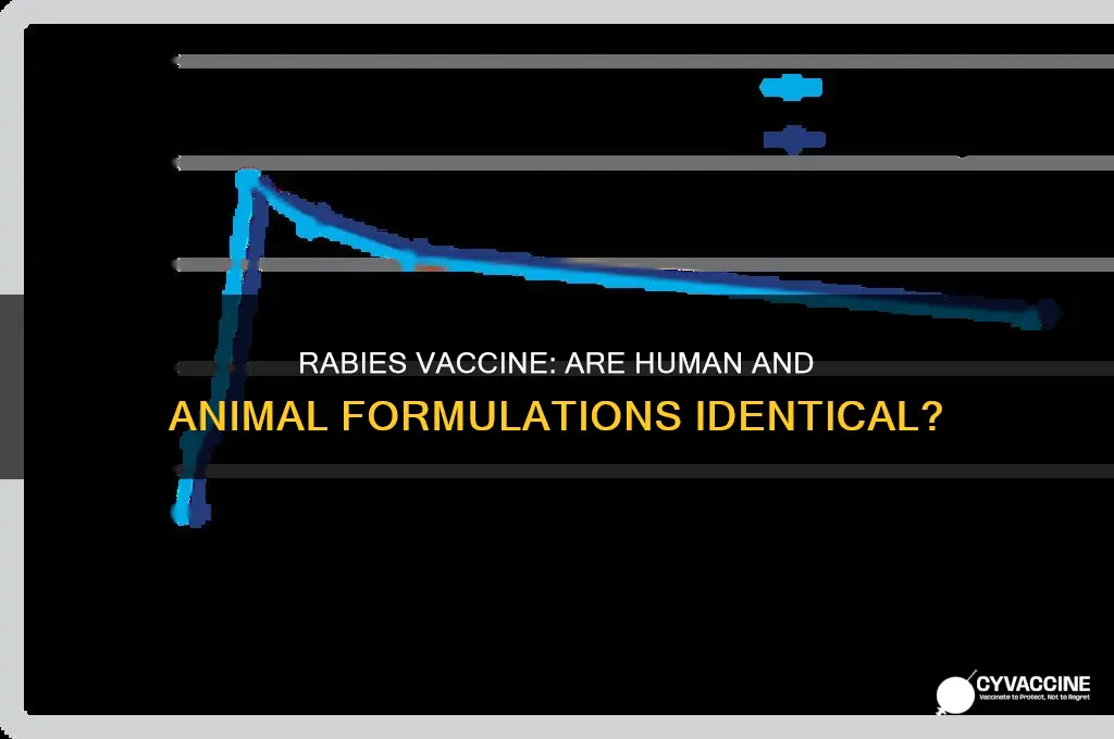 is the rabies vaccine the same for humans and animals
