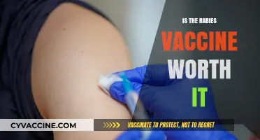 Evaluating the Benefits: Is the Rabies Vaccine Worth It?