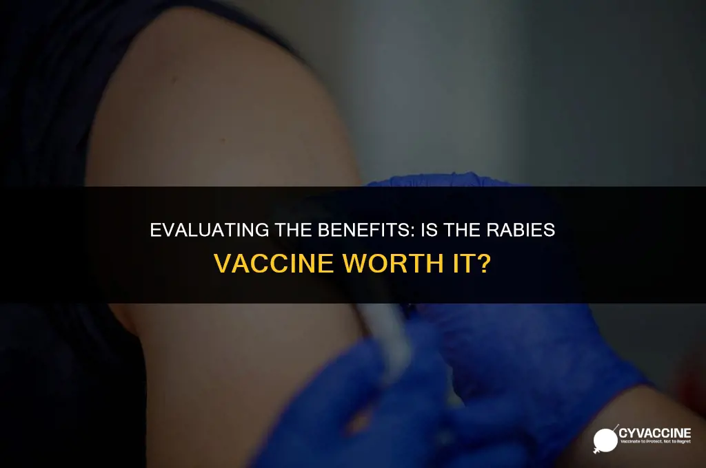 is the rabies vaccine worth it