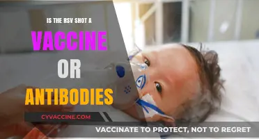 RSV Shot: Vaccine or Antibodies? Understanding the Difference