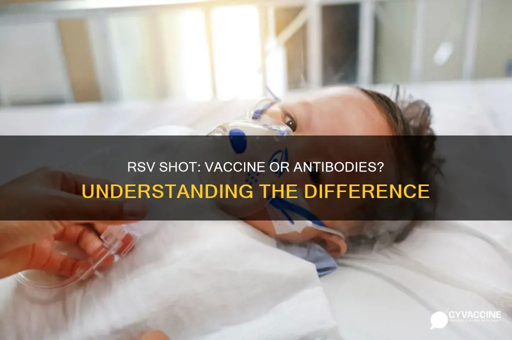 is the rsv shot a vaccine or antibodies