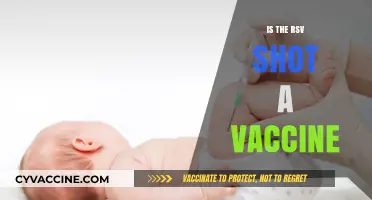 Understanding the RSV Shot: Is It a Vaccine?