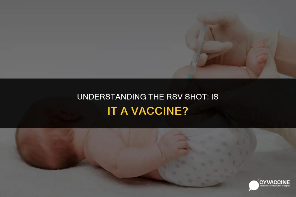 is the rsv shot a vaccine