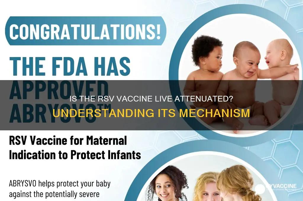 is the rsv vaccine a live attenuated vaccine