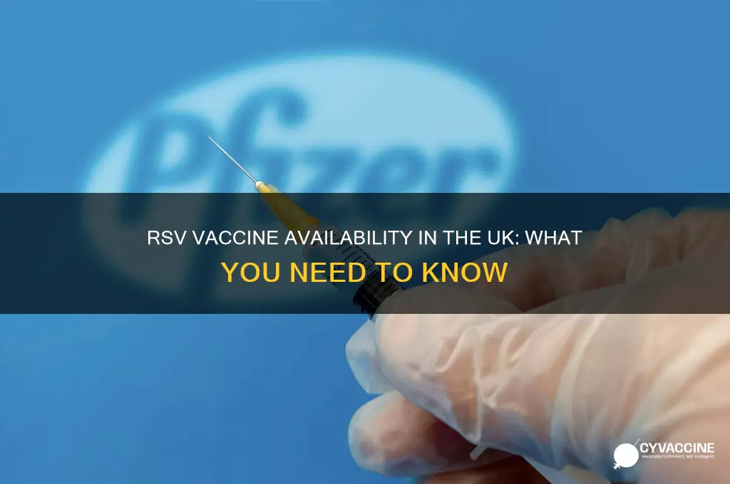 is the rsv vaccine available in the uk