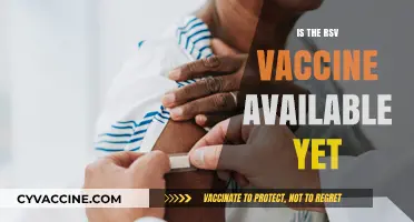 RSV Vaccine Availability: What You Need to Know Now