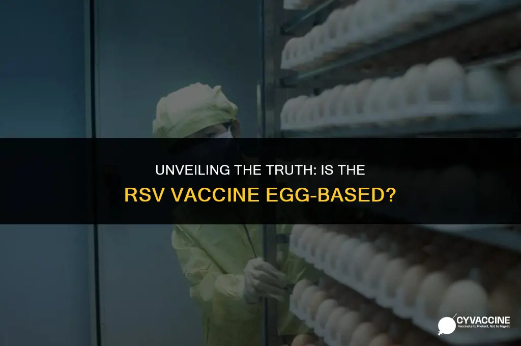 is the rsv vaccine egg based