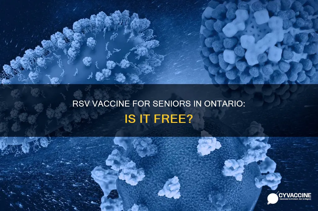 is the rsv vaccine free for seniors in ontario