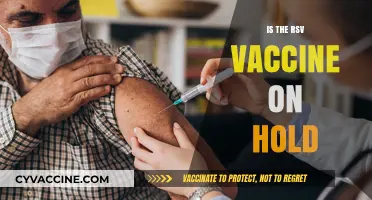 RSV Vaccine Update: What's the Current Status?