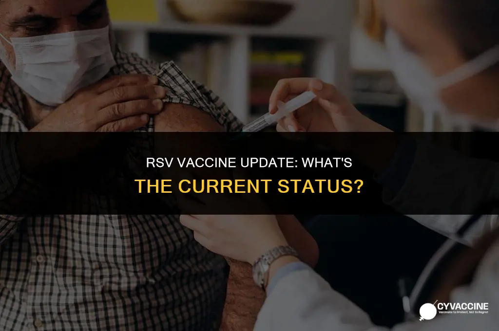 is the rsv vaccine on hold