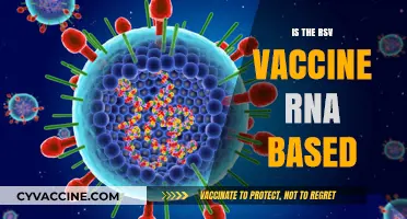 Decoding the RSV Vaccine: RNA-Based or Not?