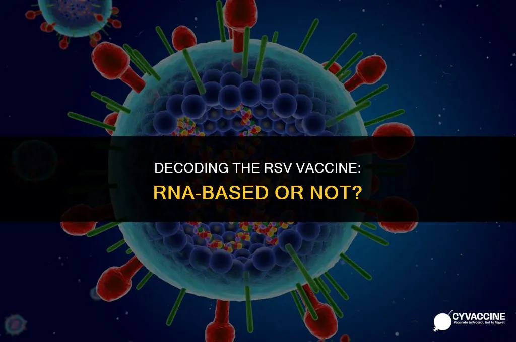 is the rsv vaccine rna based