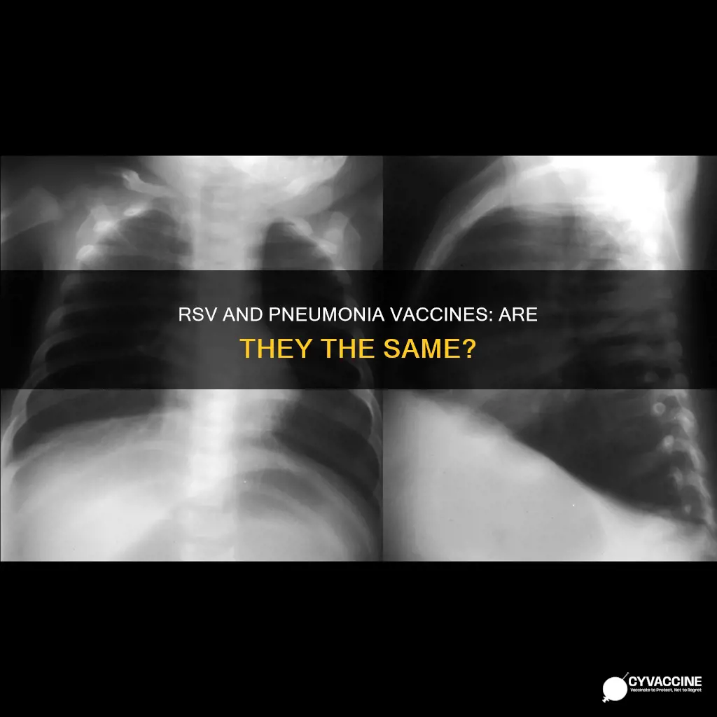 is the rsv vaccine the same as the pneumonia vaccine